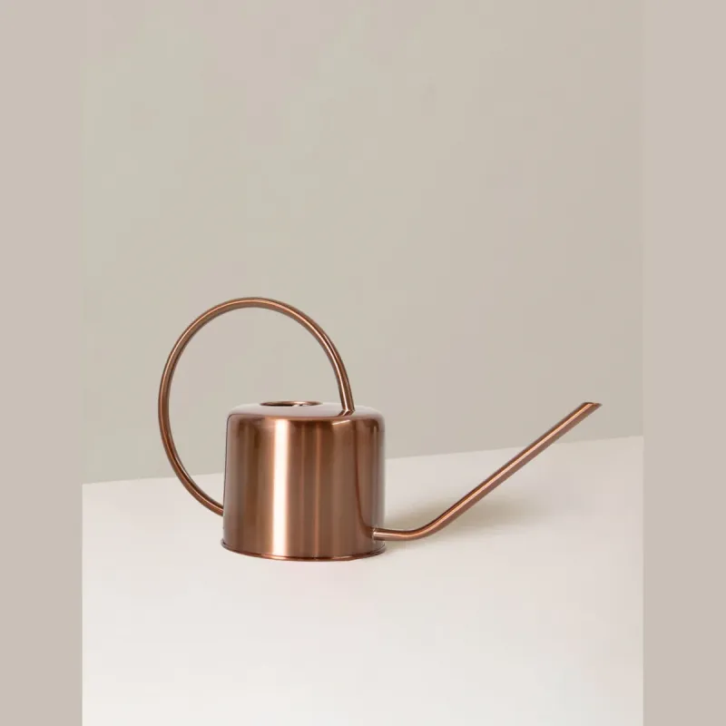 Bronz Metal Sulama Kabı