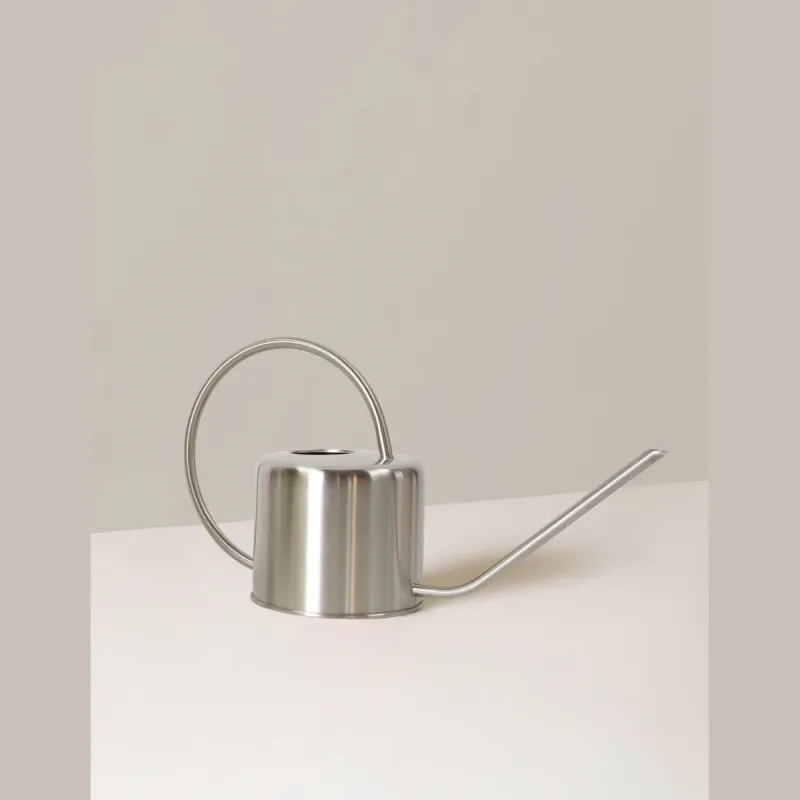 Gümüş Metal Sulama Kabı